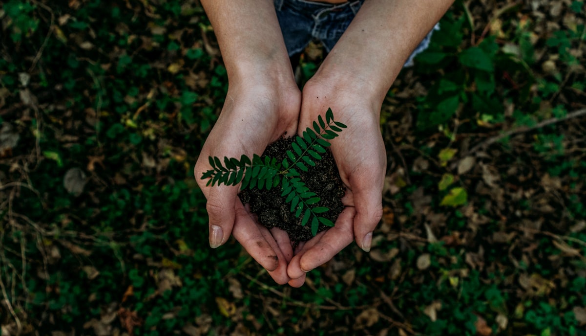 Eco Web France